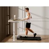 FlexiSpot WP01B-FD