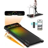 Lysole Walking Pad